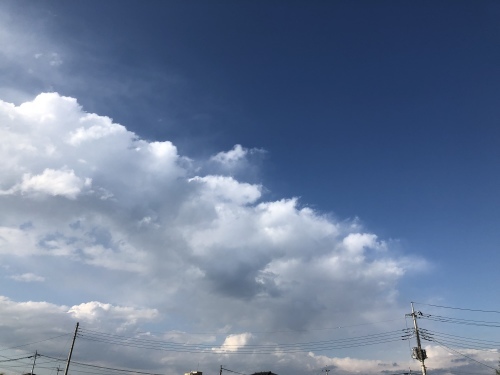 f0215094_19024770.jpeg