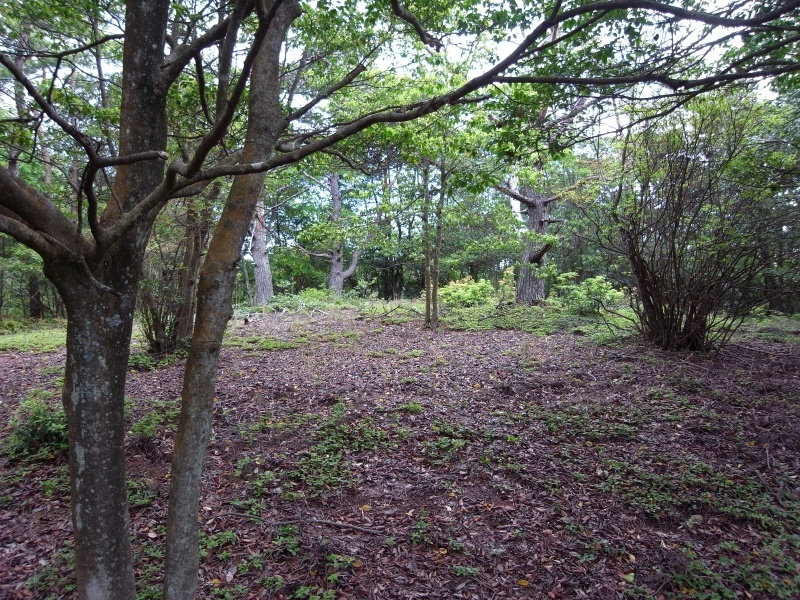 f0325295_12455568.jpg