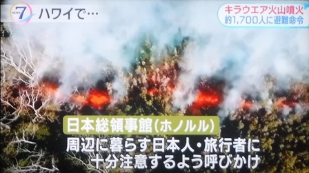 2018・5月4日　　みどりの日・キラウエア火山噴火・親戚の葬儀・茄子の甘味噌掛け_c0342697_23395648.jpg