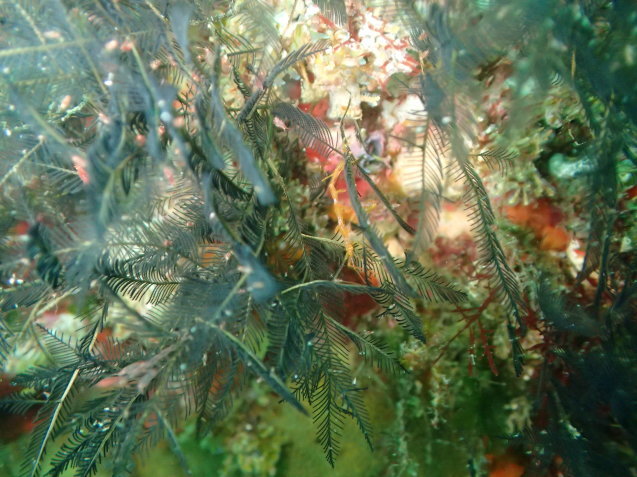 e0115199_17272843.jpg