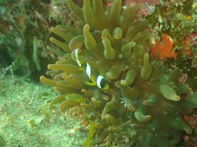 e0115199_17275630.jpg