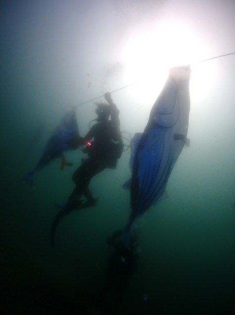e0115199_17373410.jpg
