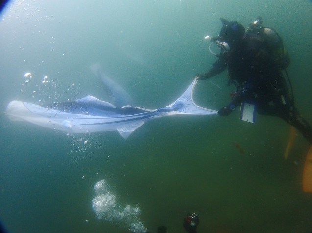 e0115199_17500958.jpg