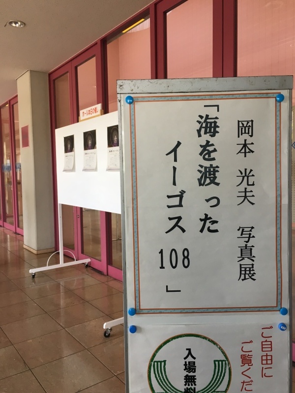 b0220002_21514991.jpeg