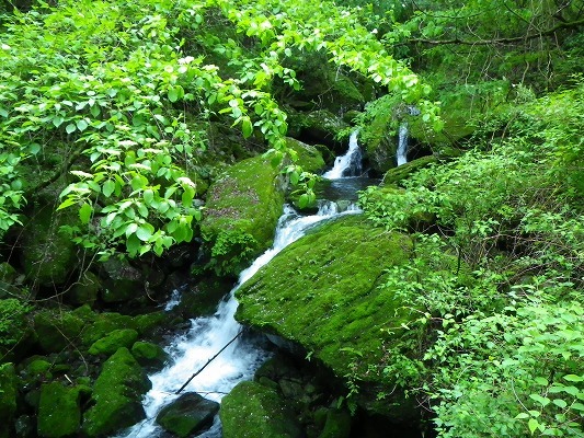 f0187402_18310348.jpg