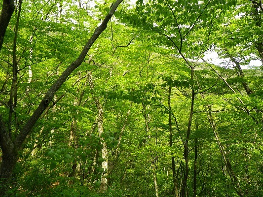 f0187402_18322998.jpg