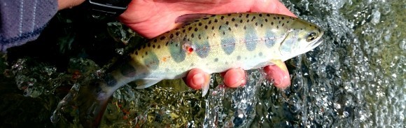 f0266202_16061368.jpg