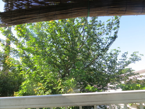 f0079104_06445527.jpg