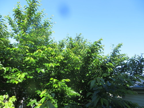 f0079104_06463815.jpg