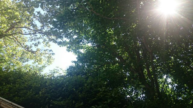 f0079104_06491867.jpg