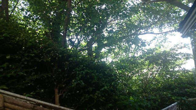 f0079104_06504145.jpg