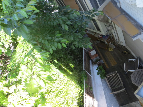 f0079104_06525035.jpg