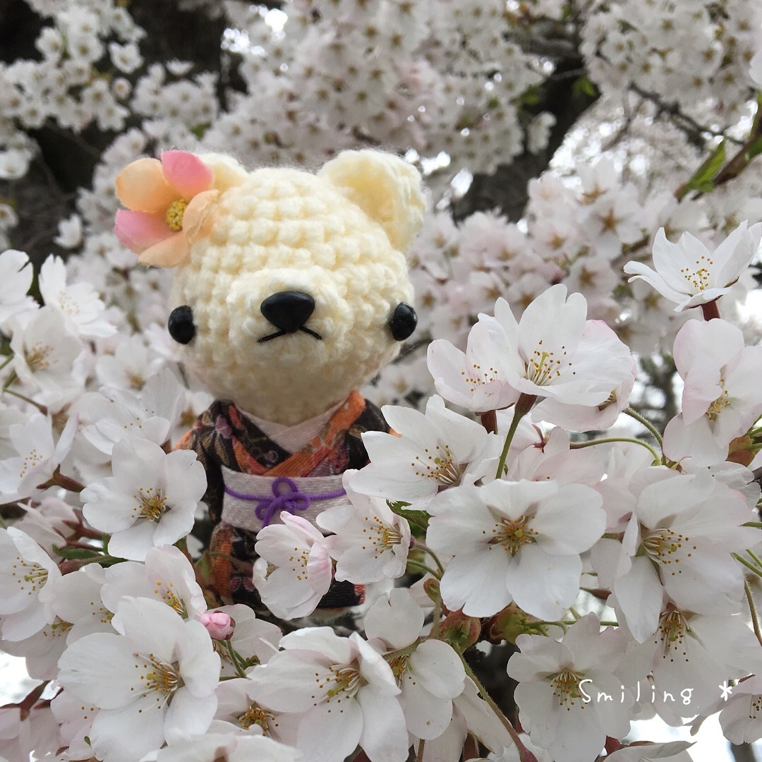 ぬい撮り] 北斗市の桜とあみぐるみ着物くまちゃん♪ : Smiling