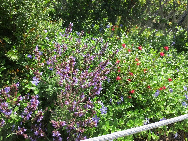 b0064411_05472871.jpg