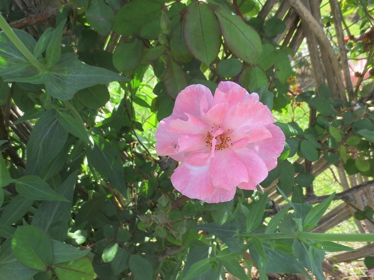 b0064411_05485172.jpg