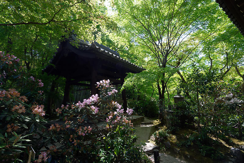 f0032011_17442940.jpg