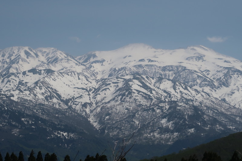 d0103314_23424187.jpg