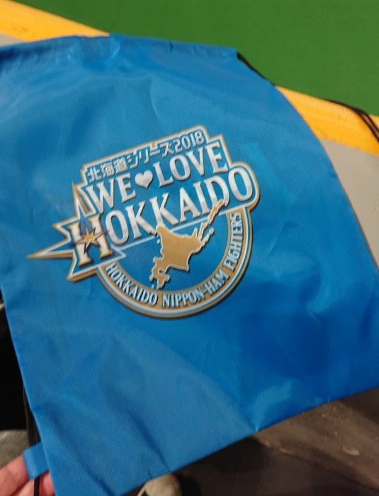 【ロッテ戦】キャプテン　レフトにお帰りなさい【5月4日12戦目】5連戦中日_e0126914_07480175.jpg