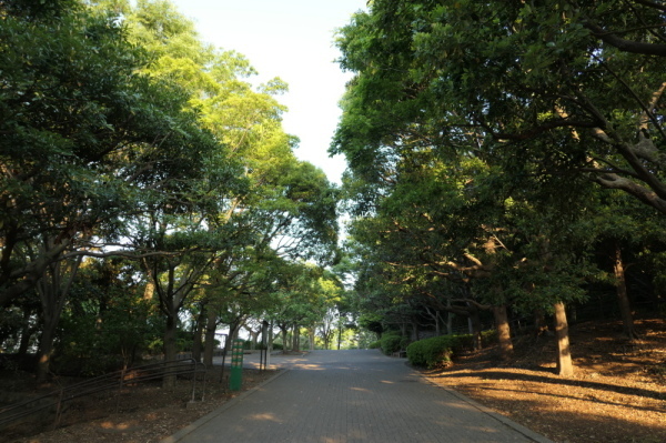 本牧山頂公園（横浜市中区）_f0369014_09462668.jpg