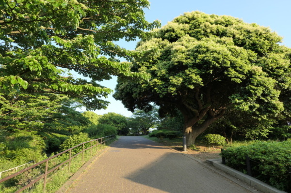 本牧山頂公園（横浜市中区）_f0369014_09520338.jpg