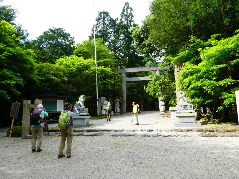 シャクナゲ咲く　修験業山・栗の木岳　  登頂 編_d0170615_11024001.jpg