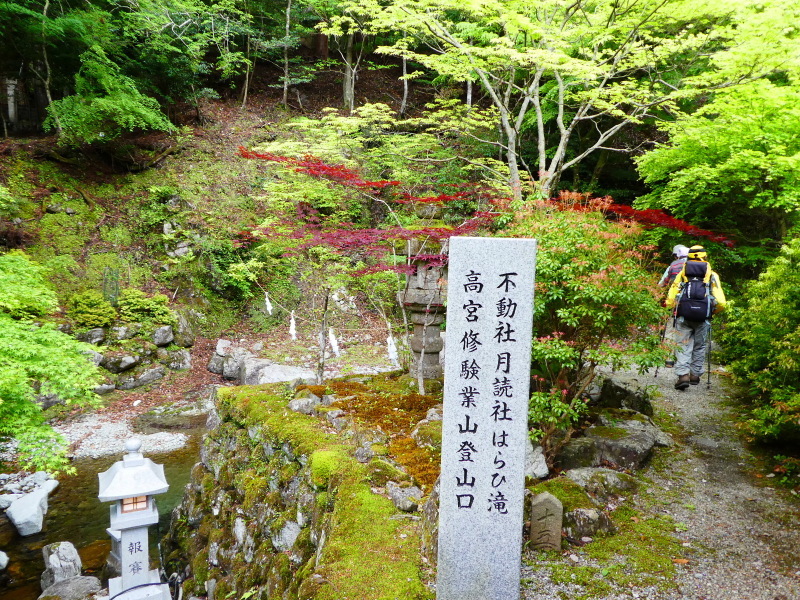 シャクナゲ咲く　修験業山・栗の木岳　  登頂 編_d0170615_11024734.jpg