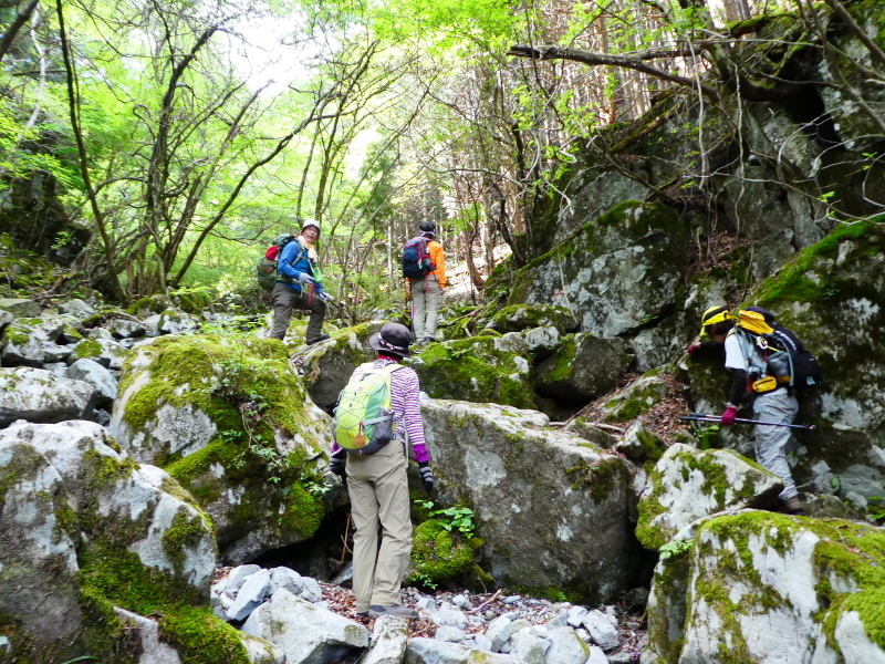 シャクナゲ咲く　修験業山・栗の木岳　  登頂 編_d0170615_11032323.jpg