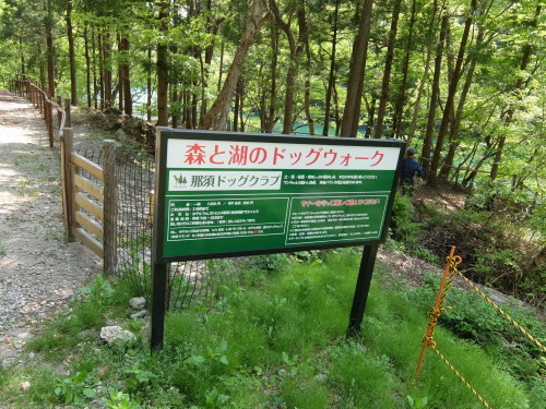 f0128821_23285111.jpg
