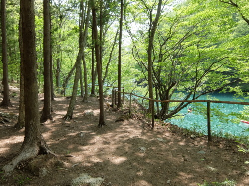 f0128821_23380217.jpg