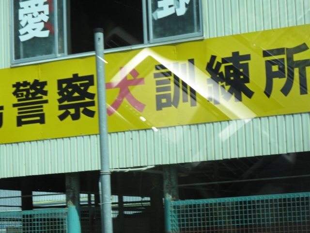 f0143123_11290179.jpg