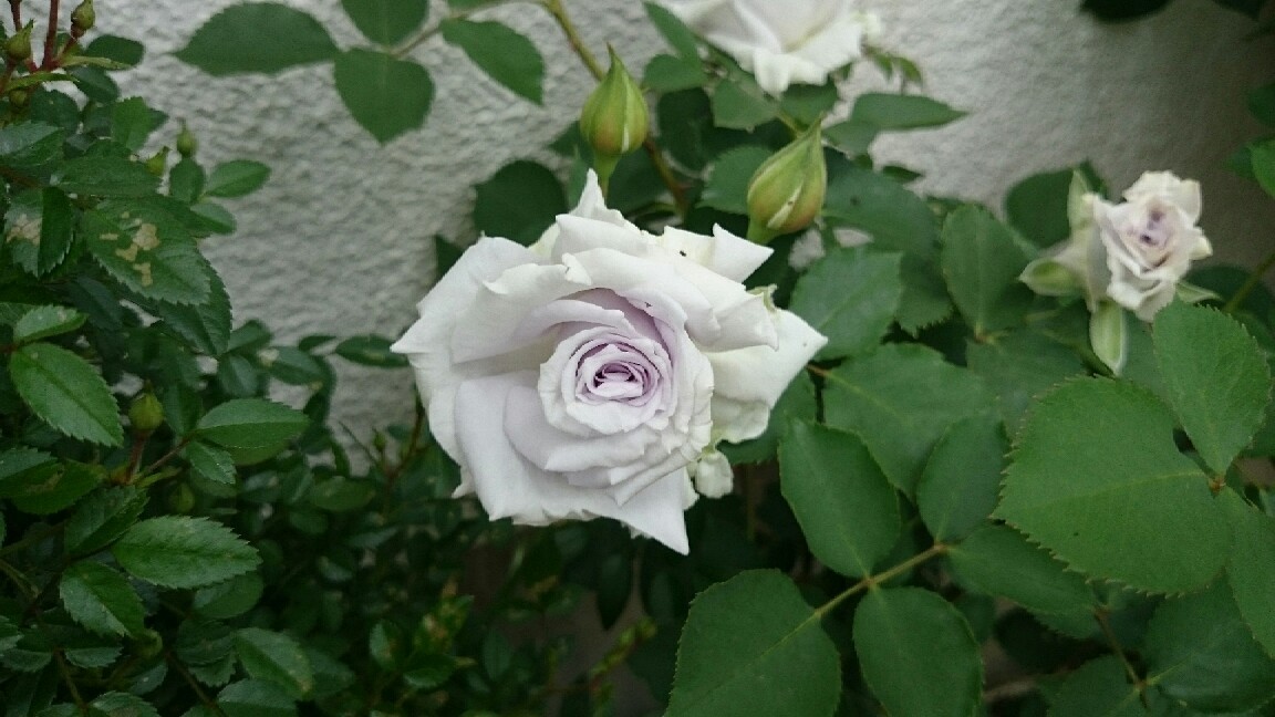 e0263224_00330933.jpg