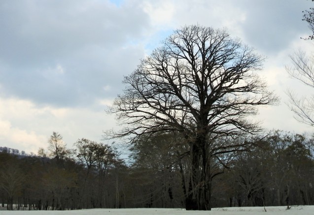f0118332_01234701.jpg