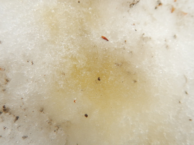 f0118332_01243374.jpg