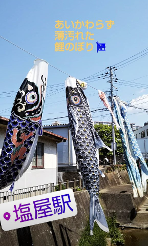 a0258834_13291900.png