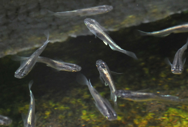 e0097534_17332757.jpg