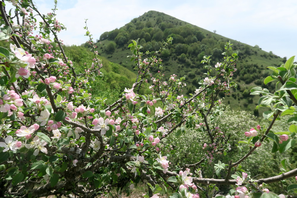 f0234936_6204144.jpg