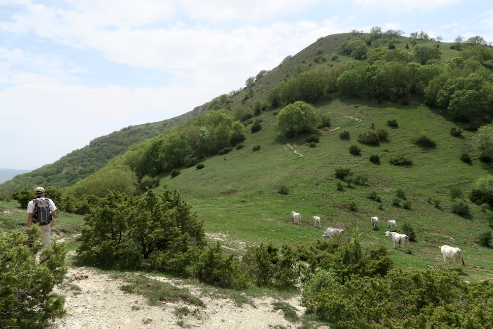 f0234936_64646.jpg