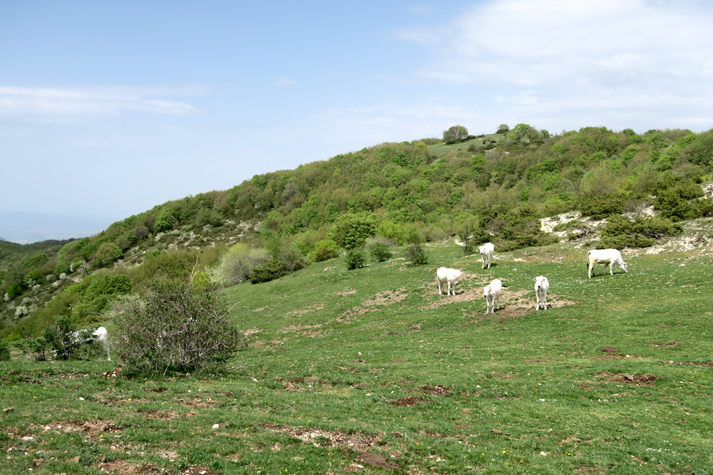 f0234936_6492919.jpg