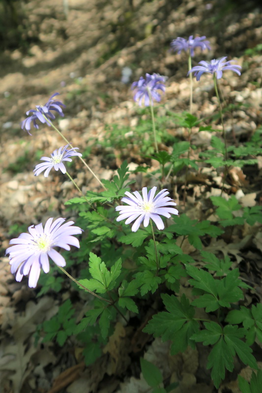 f0234936_657310.jpg