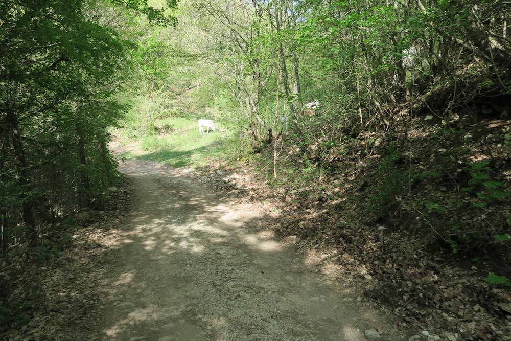 f0234936_703695.jpg