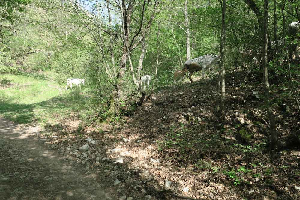 f0234936_735227.jpg