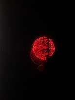 c0036138_21033918.jpg