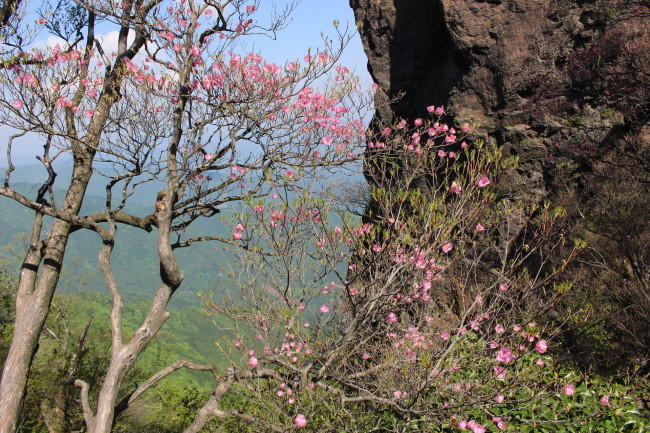 c0077338_08202523.jpg