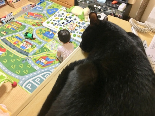 b0341440_17572655.jpeg