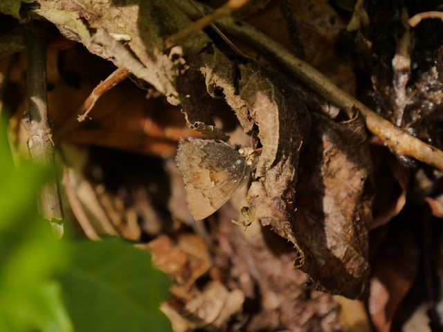 d0361041_12252119.jpg