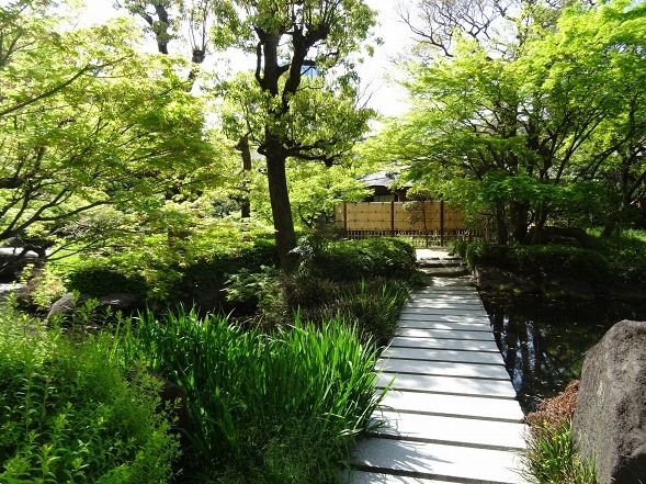 b0299042_21591660.jpg