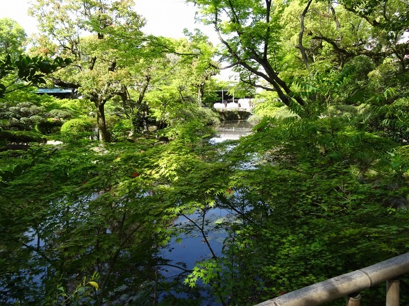 b0299042_21592063.jpg