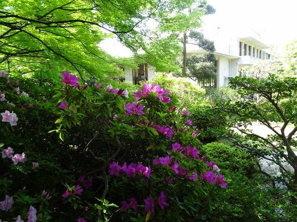 b0299042_21594614.jpg