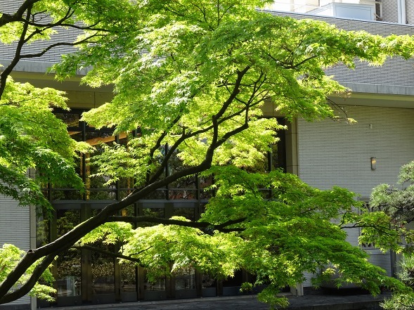 b0299042_22000025.jpg