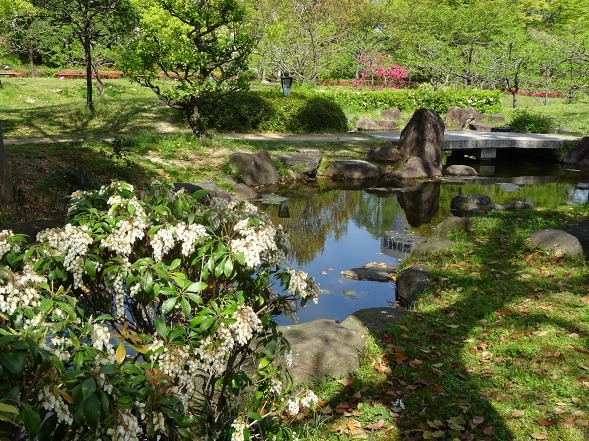 b0299042_22001913.jpg